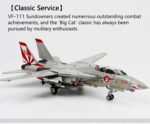 F-14 Tomcat Carrier-Based Fighter Aircraft Model 1:72 Scale - Image 18